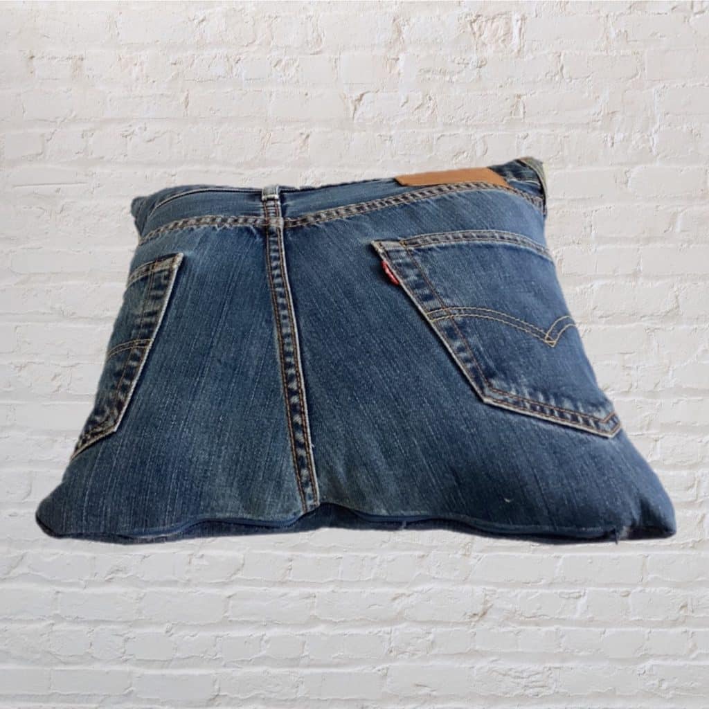 Funky Blue Levi's 501 'BIG LEVIS ' Jeans Cushion